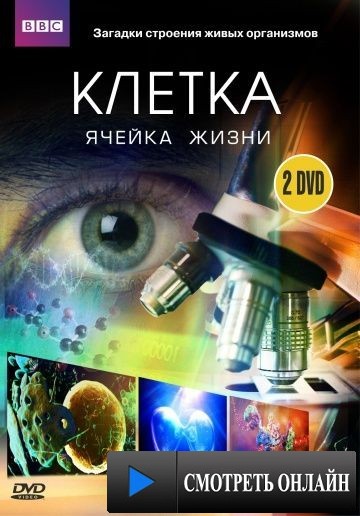 BBC: Клетка / The Cell (2009)