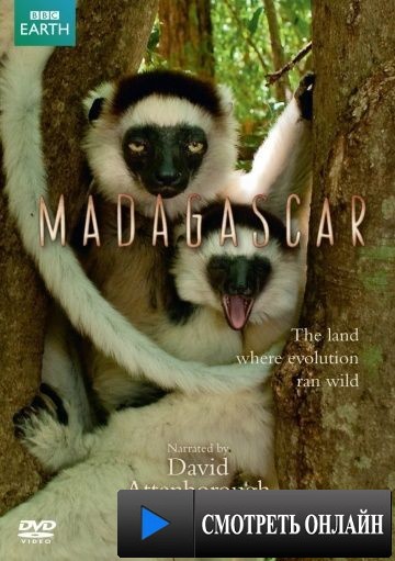 BBC: Мадагаскар / Madagascar (2011)