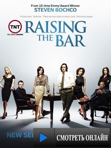 Адвокатская практика / Raising the Bar (2008)