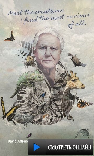 Девид Аттенборо. Курьезы природного мира / David Attenborough's Natural Curiosities (2013)