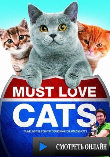 Кошек не любить нельзя / Must Love Cats (2011)