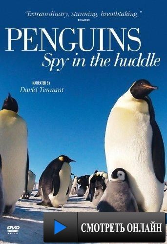 Пингвины: Шпион в толпе / Penguins: Spy in the Huddle (2013)