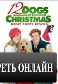 12 рождественских собак 2 / 12 Dogs of Christmas: Great Puppy Rescue (2012)