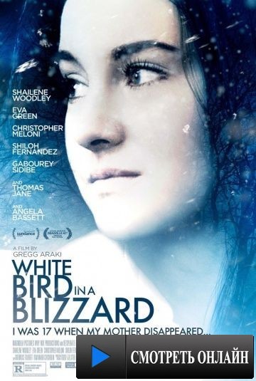 Белая птица в метели / White Bird in a Blizzard (2014)