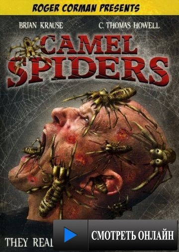 Верблюжьи пауки / Camel Spiders (2011)