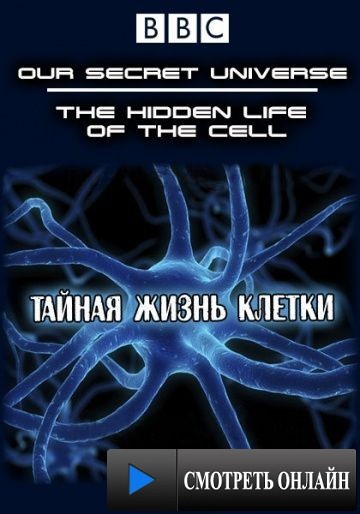 Внутренняя вселенная: Тайная жизнь клетки / Our Secret Universe: The Hidden Life of the Cell (2012)