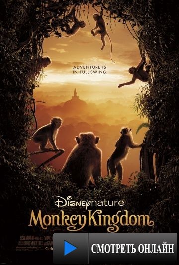 Королевство обезьян / Monkey Kingdom (2015)