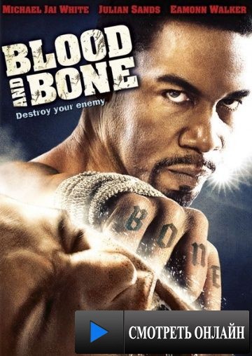 Кровь и кость / Blood and Bone (2009)