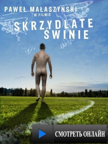 Крылатые свиньи / Skrzydlate swinie (2010)