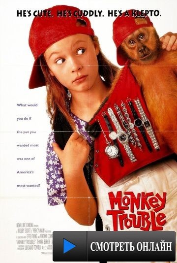 Неприятности с обезьянкой / Monkey Trouble (1994)