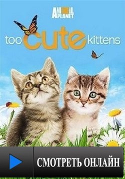 Симпатичные котята и щенки / Too Cute! (2011)